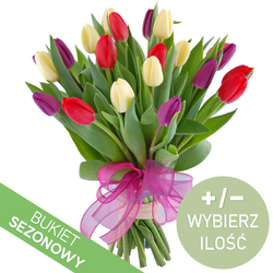 Kolorowe tulipany od 15 do...