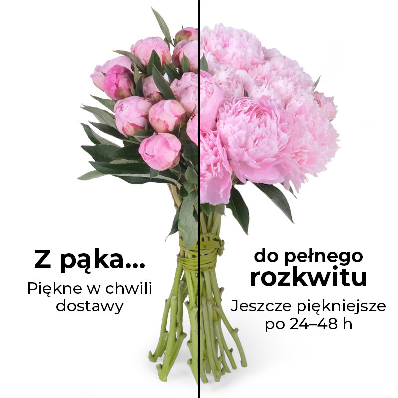 Poczta i kwiatowa Warszawa Bukiet piwonie