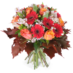 Poczta i kwiatowa Warszawa Kolorowa jesień