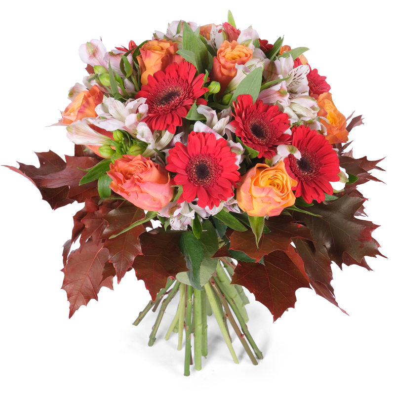 Poczta i kwiatowa Warszawa Kolorowa jesień Poczta i kwiatowa Warszawa Kolorowa jesień